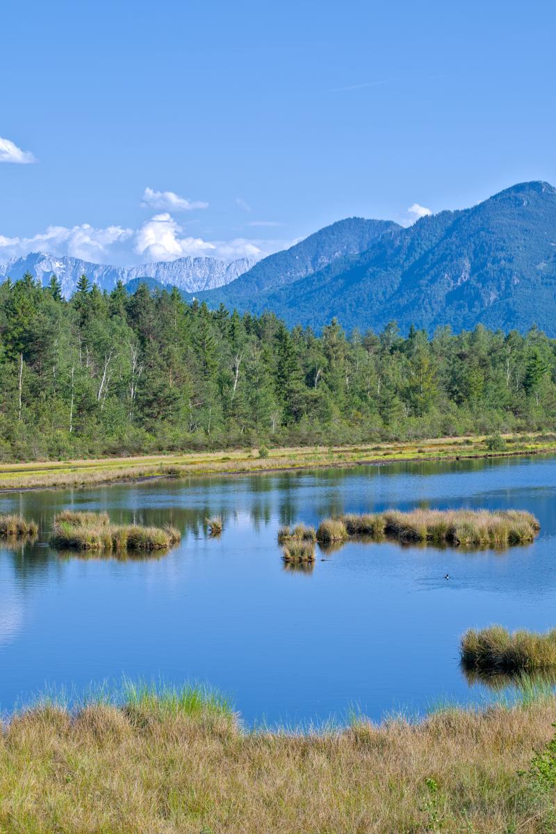 An image of a water body in the forest. In the background there is a forest and some mountains. The sky is blue with some white clouds.