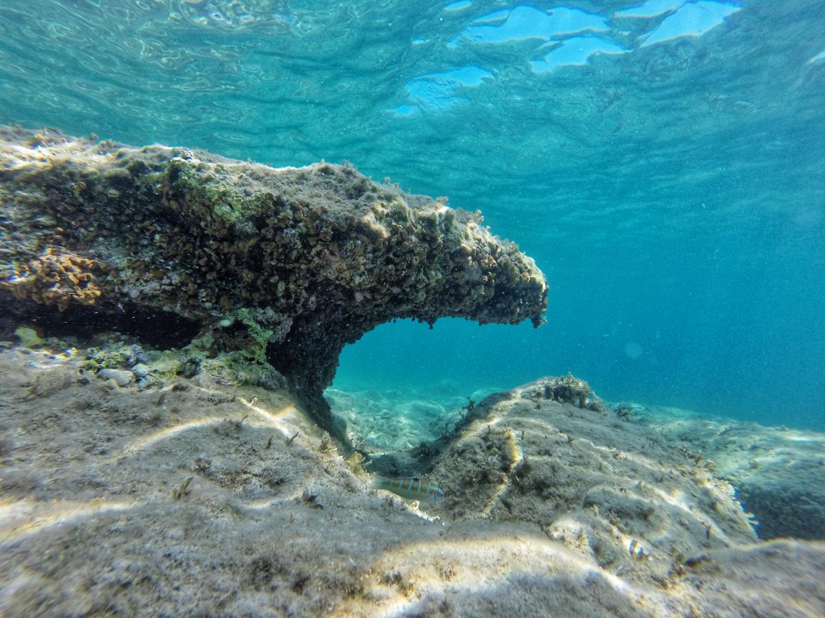 Underwater photo of a little stone overhang.