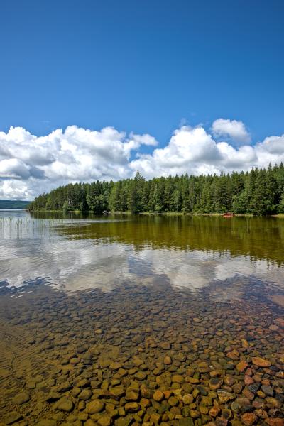 A lake in which some stones can be seen through the very clear water. In the background is a green forest with a little boat on the beach.