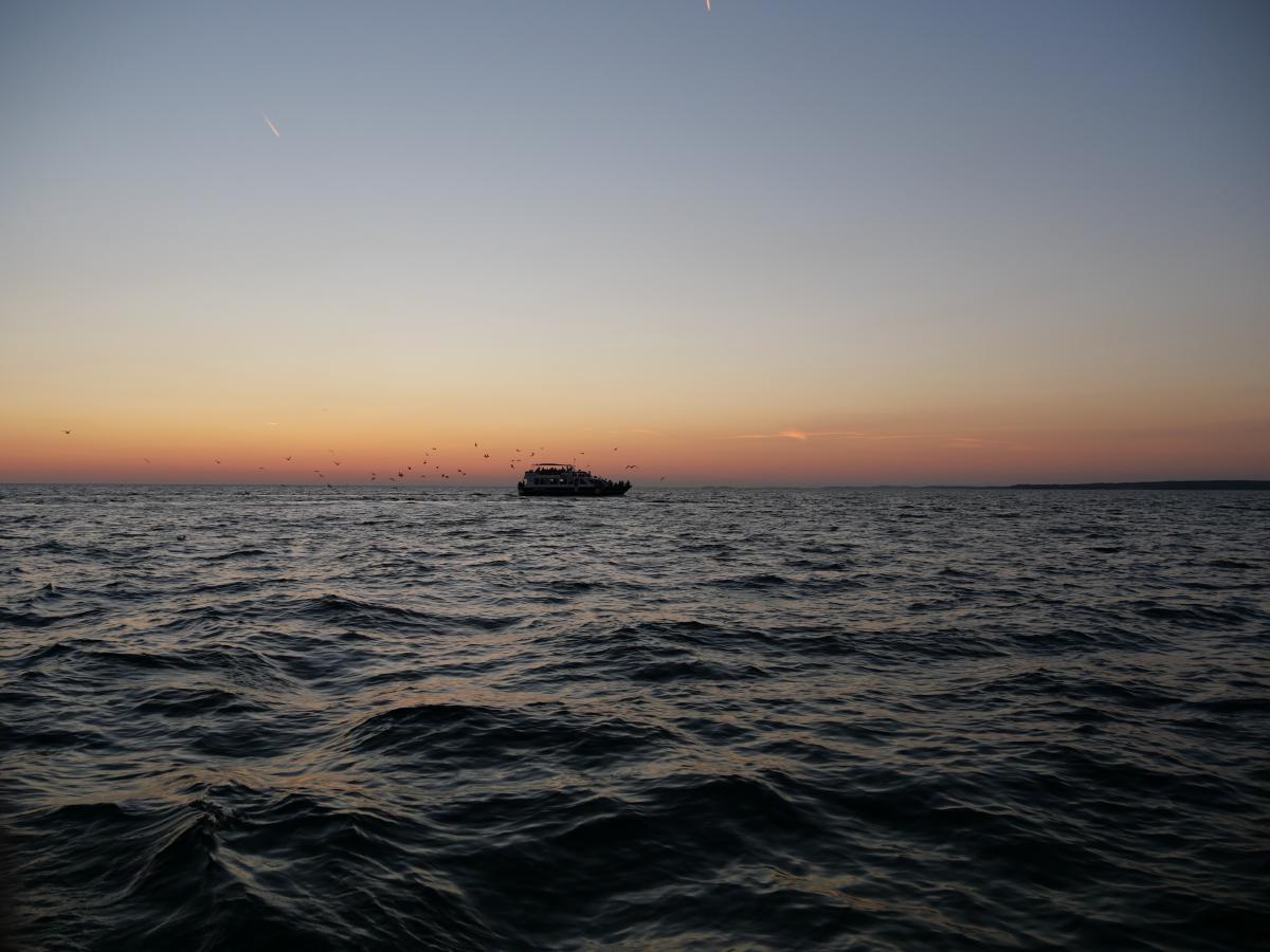 Ein Schiff, das bei Sonnenuntergang über das Meer fährt, während Möwen darüber fliegen und ein wunderschöner Horizont zu sehen ist.