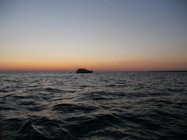 Ein Schiff, das bei Sonnenuntergang über das Meer fährt, während Möwen darüber fliegen und ein wunderschöner Horizont zu sehen ist.