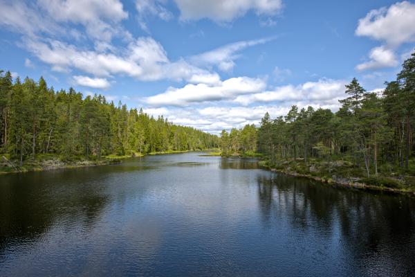 Ein Fluss / ein flussförmiger See mit Wald auf der linken und rechten Seite.