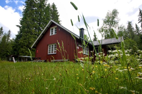 Ein niedliches nordisches Haus im Wald. Im Vordergrund liegt eine Wiese mit einigen Blumen.