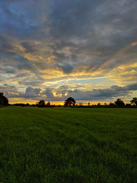Die untergehende Sonne taucht die Wolken in ein warmes Licht, während ein leuchtend blauer Himmel hindurchblickt.