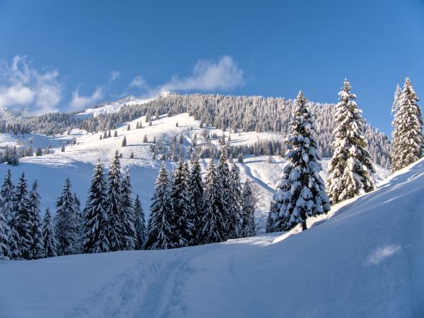Zu sehen ist eine Winterszene in den bayerischen Alpen. Die Berge sind schneebedeckt, ebenso die Bäume. Der Himmel ist blau mit einigen kleinen, tief hängenden Wolken.
