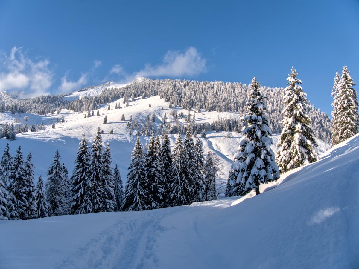 Zu sehen ist eine Winterszene in den bayerischen Alpen. Die Berge sind schneebedeckt, ebenso die Bäume. Der Himmel ist blau mit einigen kleinen, tief hängenden Wolken.