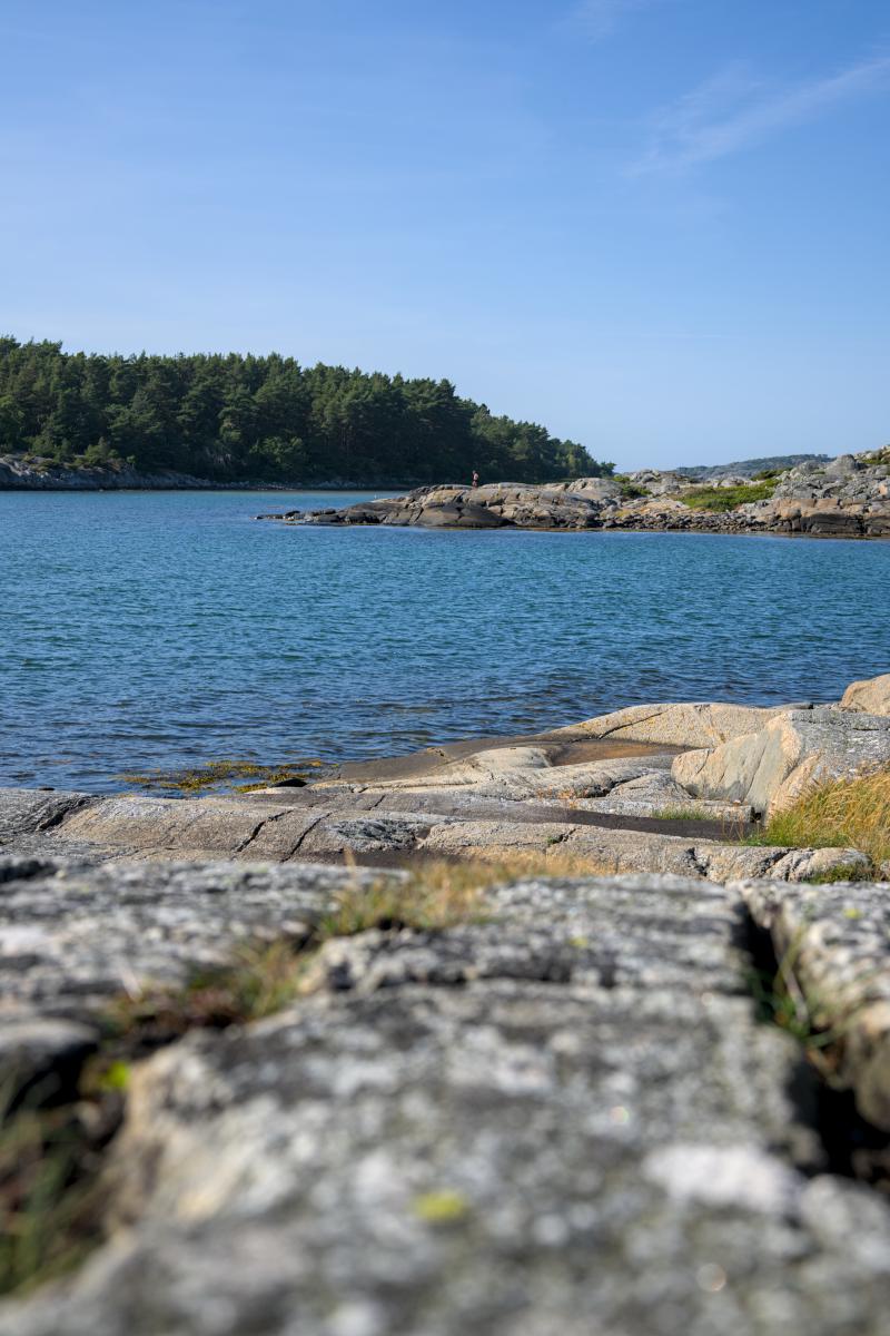 Einige felsige Strände im Schärengarten der schwedischen Westküste. Zu sehen sind das Meer und eine Insel mit einem Wald darauf.