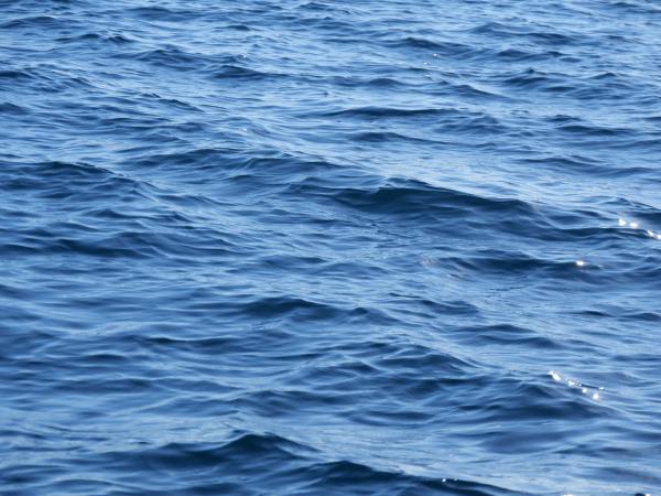 Nahaufnahme von Wasser, die feine Strukturen und das ruhige Wesen einer stillen Oberfläche zeigt.