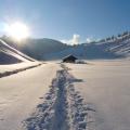 One Track to the Hut - Winter Sun Over the Valley