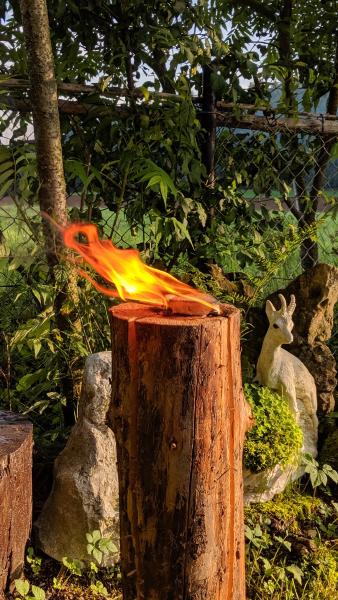 Ein Holzscheit, in dem ein Feuer brennt. Draußen im Grünen.