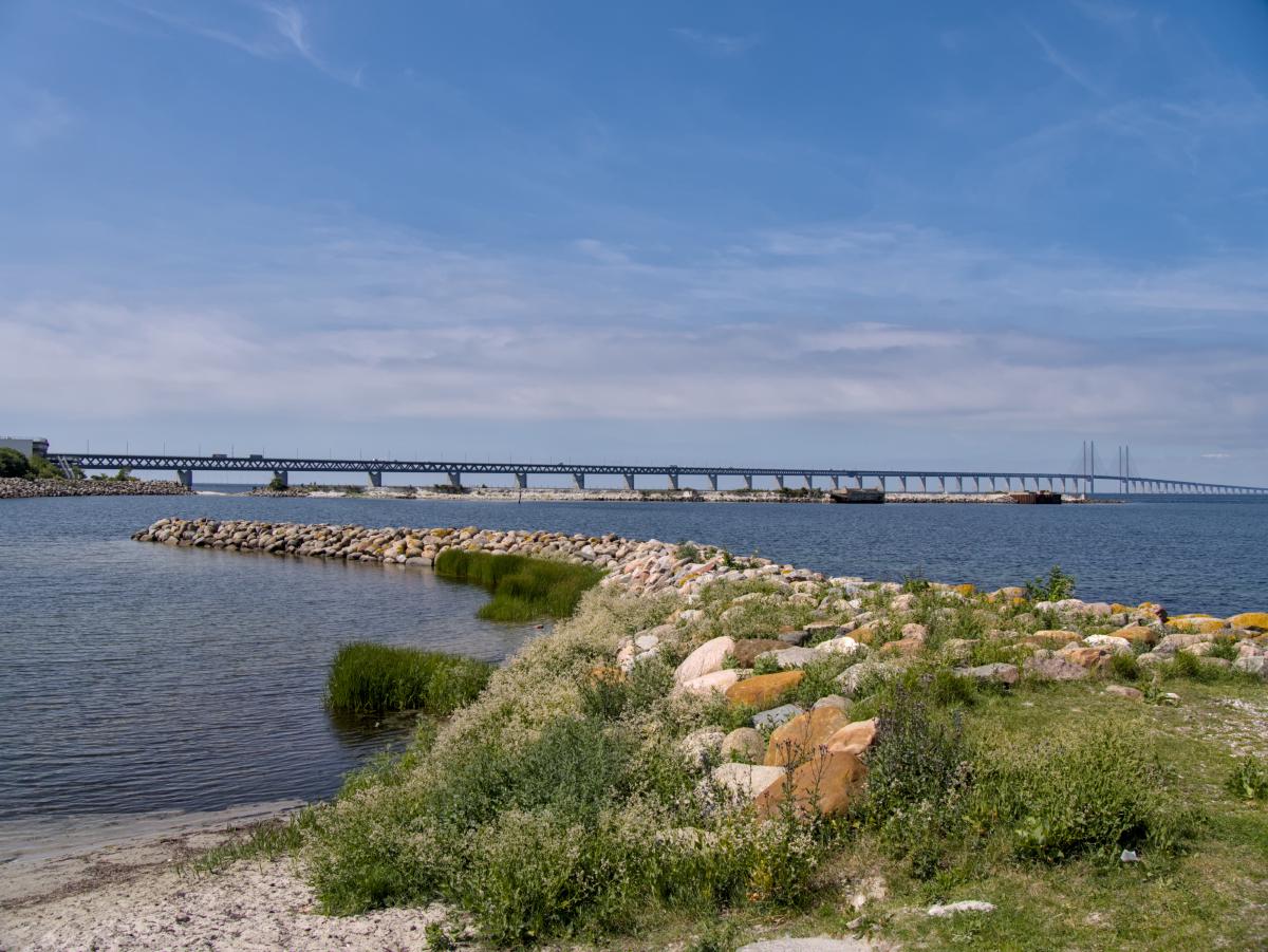 Zu sehen ist das Meer mit etwas Gras und einigen Steinen davor. Im Hintergrund ist die Öresundsbron zwischen Malmö und Kopenhagen zu erkennen.
