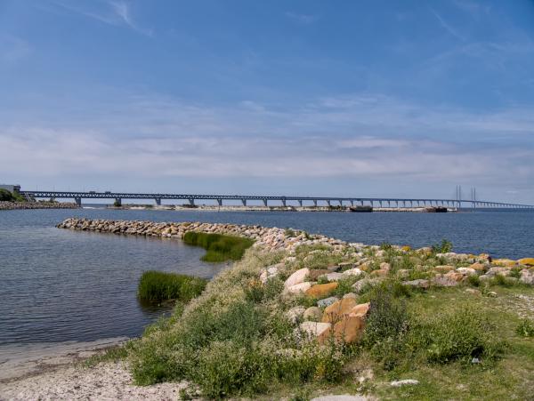 Zu sehen ist das Meer mit etwas Gras und einigen Steinen davor. Im Hintergrund ist die Öresundsbron zwischen Malmö und Kopenhagen zu erkennen.