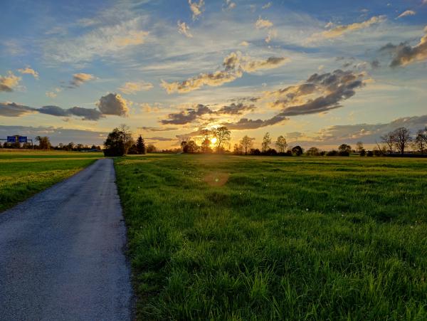 Ein feuriger Sonnenuntergang über einem Feld, mit einem Weg, der zwischen Bäumen hindurch auf den goldenen Himmel zuführt.