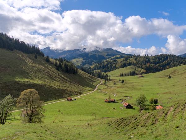 Blick auf einige Hütten in den bayerischen Alpen. Im Hintergrund sind ein kleiner Bach und einige Kühe zu sehen.