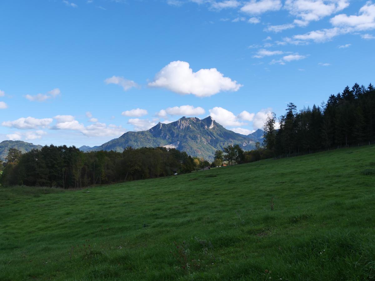 En bild på ett grönt fält med ett berg i bakgrunden.