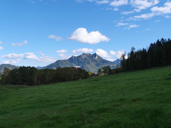 Ein Bild eines grünen Feldes mit einem Berg im Hintergrund.