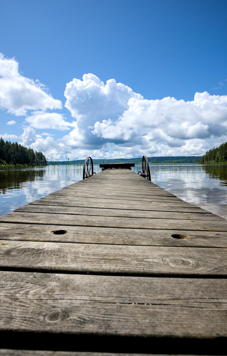 Ein Holzsteg, der in einen See führt. Darauf liegen einige alt aussehende Räder. Rechts und links des Sees stehen Bäume bis ans Wasser. Im Hintergrund ist es etwas hügelig. Dort liegt auch ein Wald.