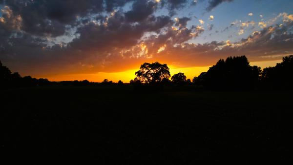 Ein einzelner Baum steht als Silhouette vor einem feurigen Sonnenuntergangshimmel.