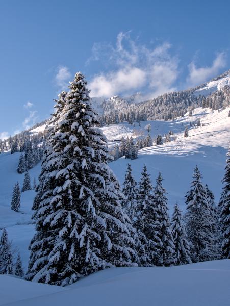 Zu sehen ist eine Winterszene in den bayerischen Alpen. Die Berge sind schneebedeckt, ebenso die Bäume. Der Himmel ist blau mit einigen kleinen, tief hängenden Wolken.