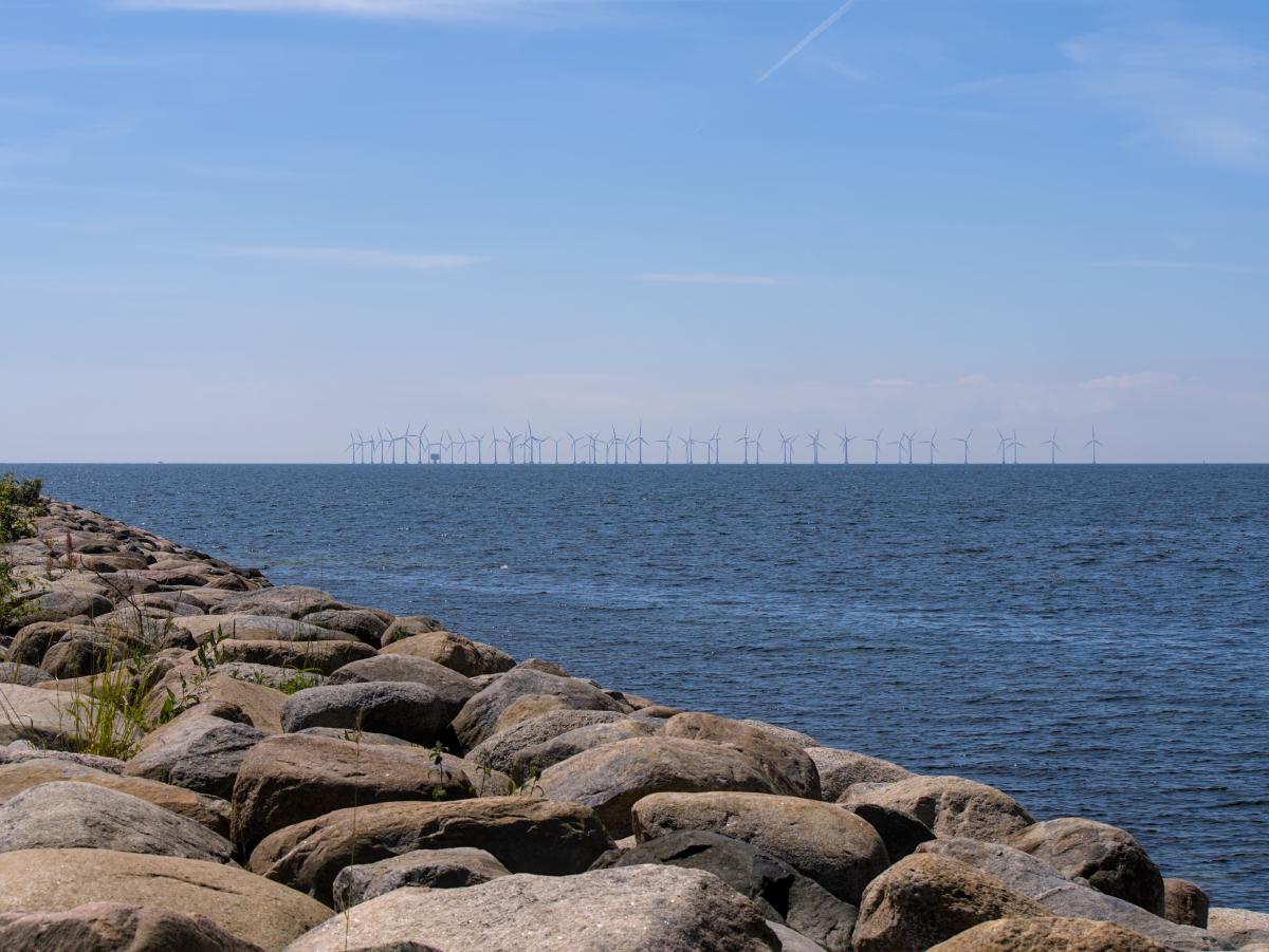 I bakgrunden syns en vindkraftspark. I förgrunden ligger stranden med ett par stenar. Fotot är taget nära Malmö.