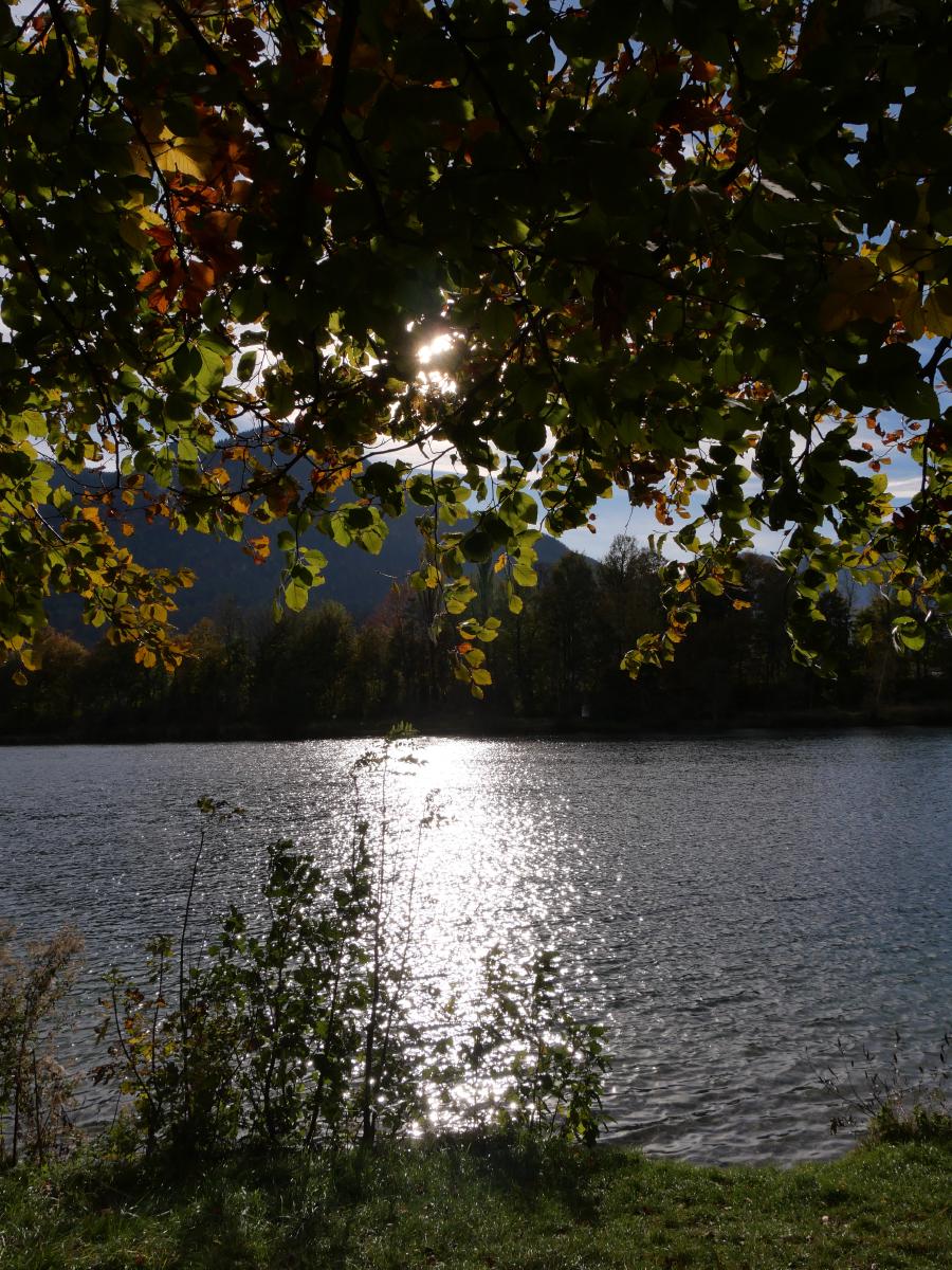 Autumn leaves hang over the frame; behind them the sun glitters on a lake with a forested shore and a hazy mountain beyond.