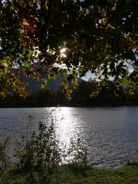 Höstlöv hänger över bildkanten; bakom dem glittrar solen på en sjö med skogklädd strand och ett disigt berg bortom.