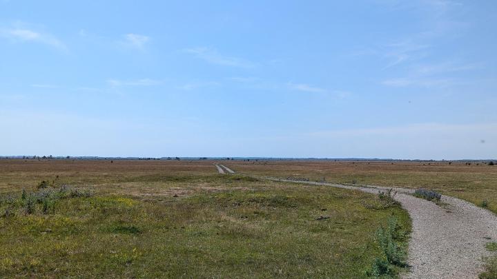 Bild av öknen i centrum av Öland